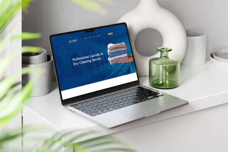 Laymun website design